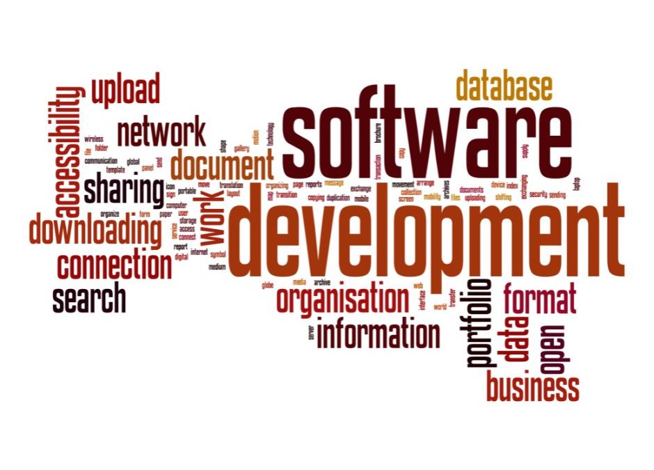 Software Custom Development