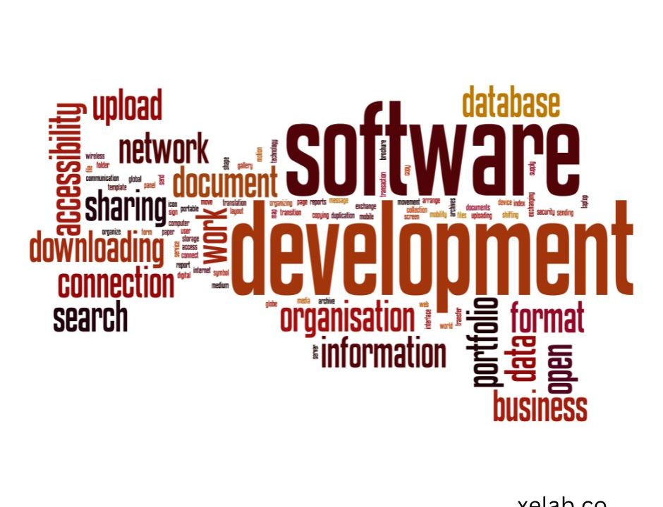 Software Custom Development